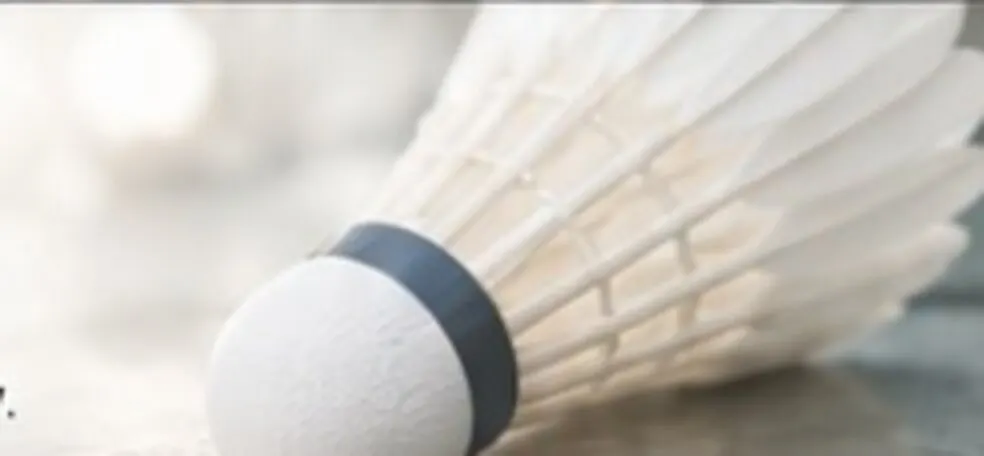 Close-up of a feather shuttlecock resting on a court