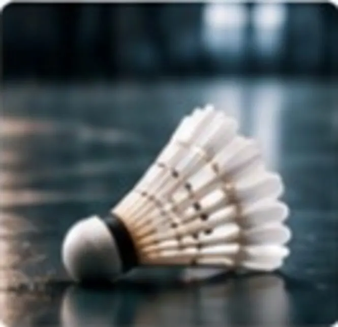 A row of feather shuttlecocks ready for the session